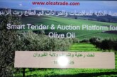 يوم دراسي حول زيت الزيتون